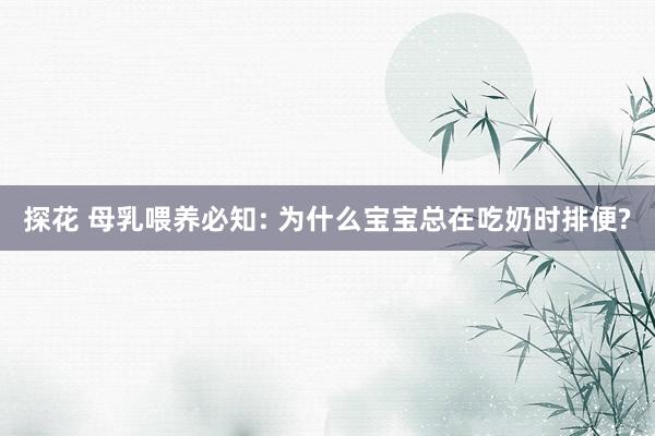 探花 母乳喂养必知: 为什么宝宝总在吃奶时排便?