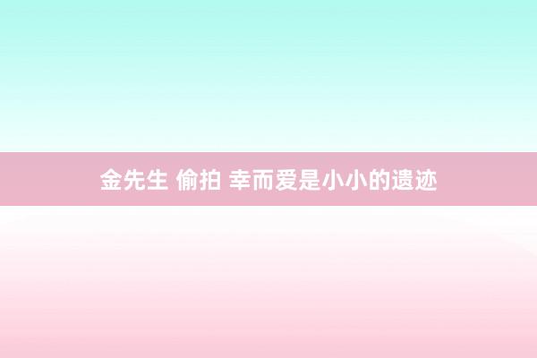 金先生 偷拍 幸而爱是小小的遗迹